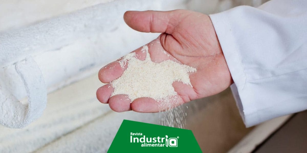Tipos de molienda y fragmentación de la harina Revista Industria Alimentaria